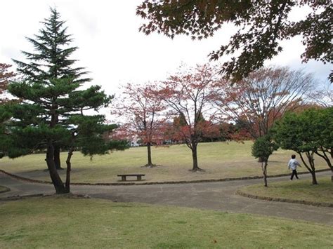 郡山西部公園 / 東北 / 福島 / 野外ハッテンスポット。